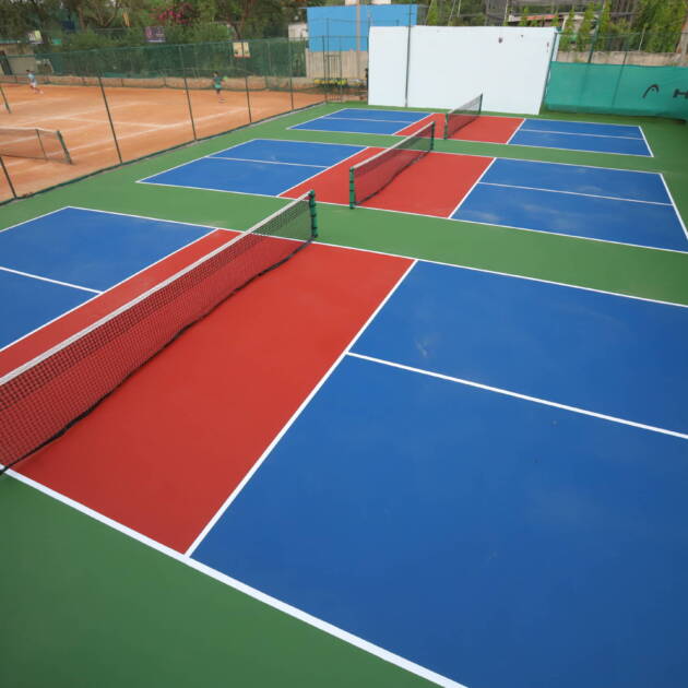 BTA Bijwasan Pickleball - Day